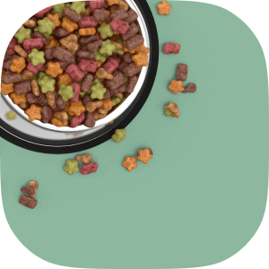 Techni'sens-test-chiens-chats
