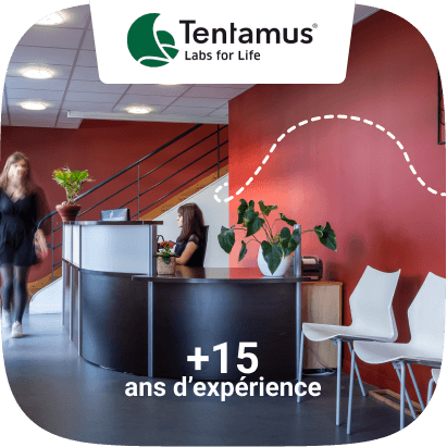 Technisens-1(-ans-experience